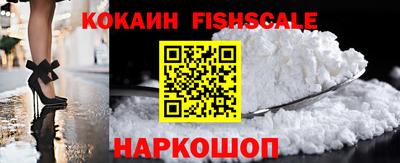 гашик Моздок