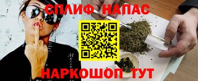 гашик Моздок