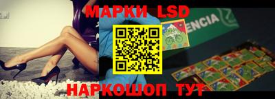 apvp Нальчик
