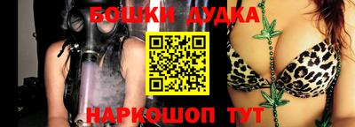 гашик Моздок