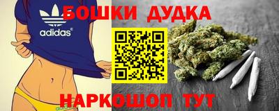 apvp Нальчик