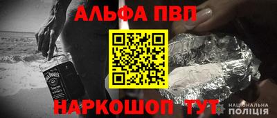 шишки Можга