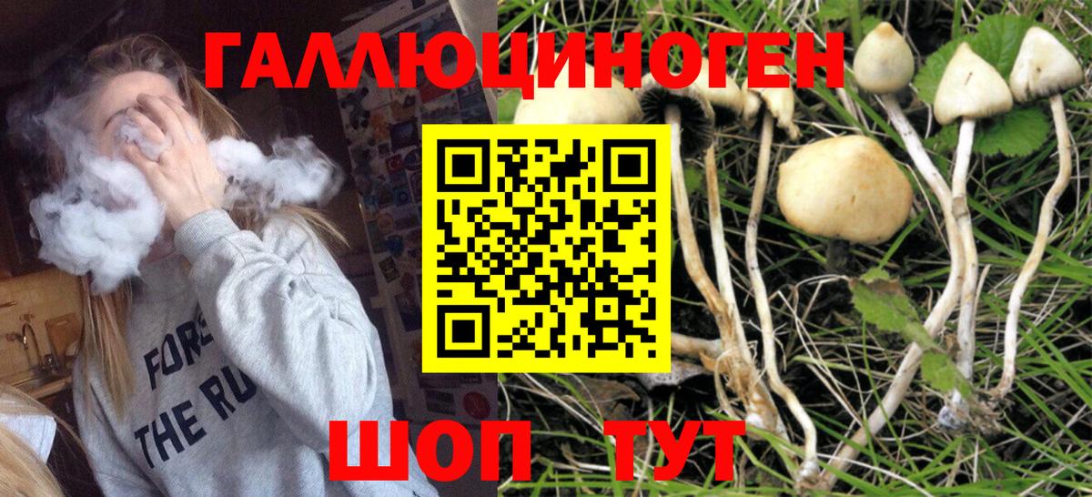 Фрязино  Псилоцибиновые грибы Magic Shrooms  Вход с VPN 